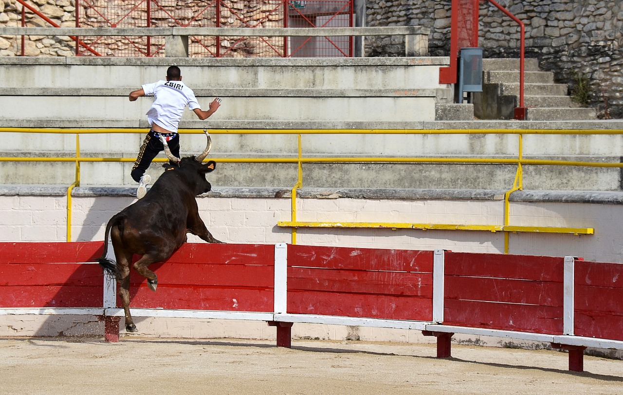 道上馳騁得