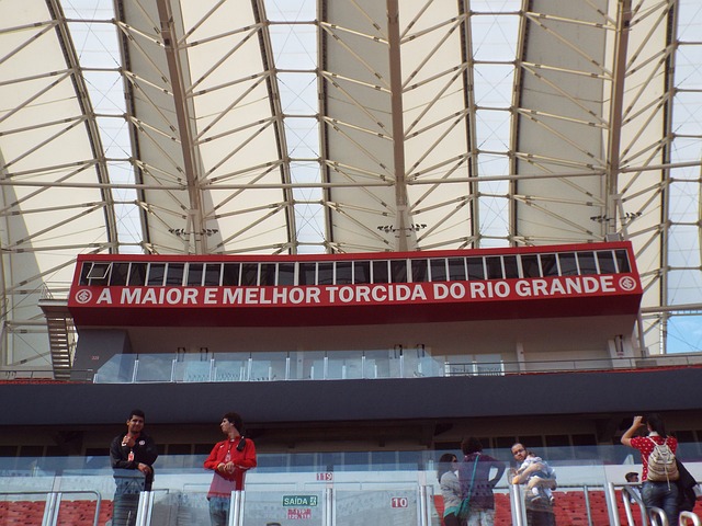 体能与技术 体能与技术