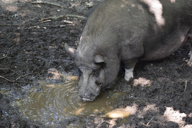 的出色数据 的出色数据