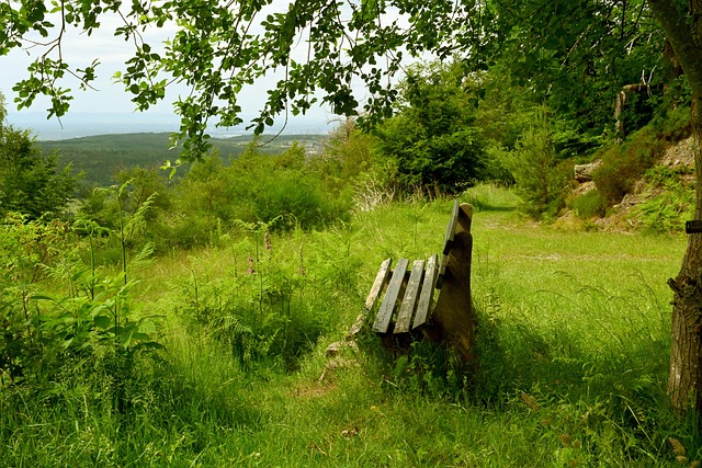 团队中其他 团队中其他