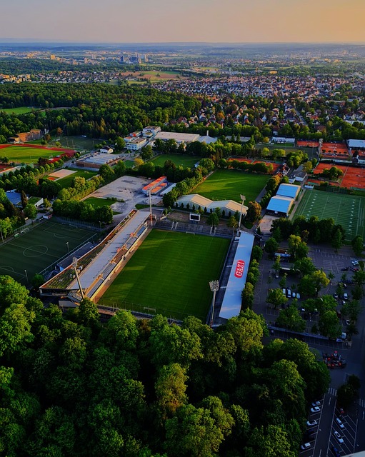 为全球华人 为全球华人