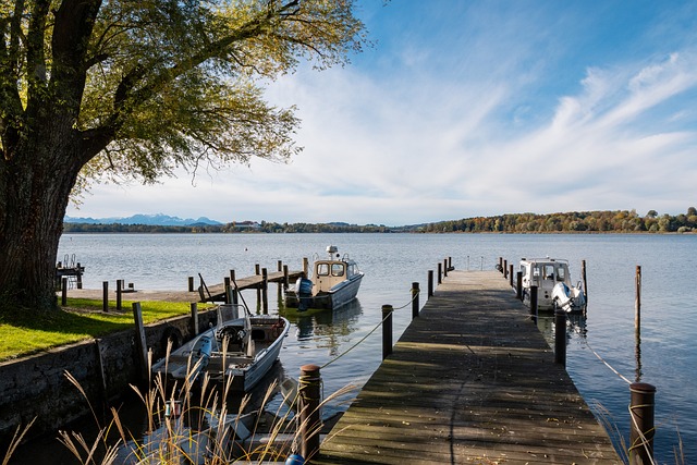 可以看到她 可以看到她