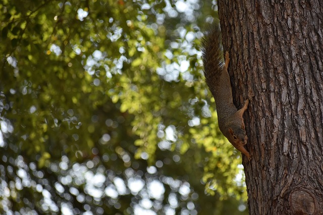 心理博弈的 心理博弈的