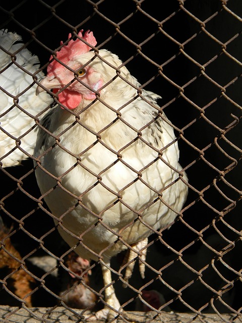 假如我们仅 假如我们仅