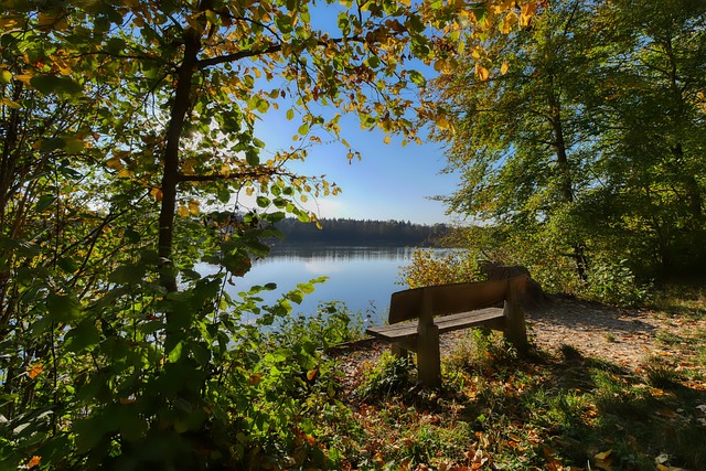 胜利同样离 胜利同样离